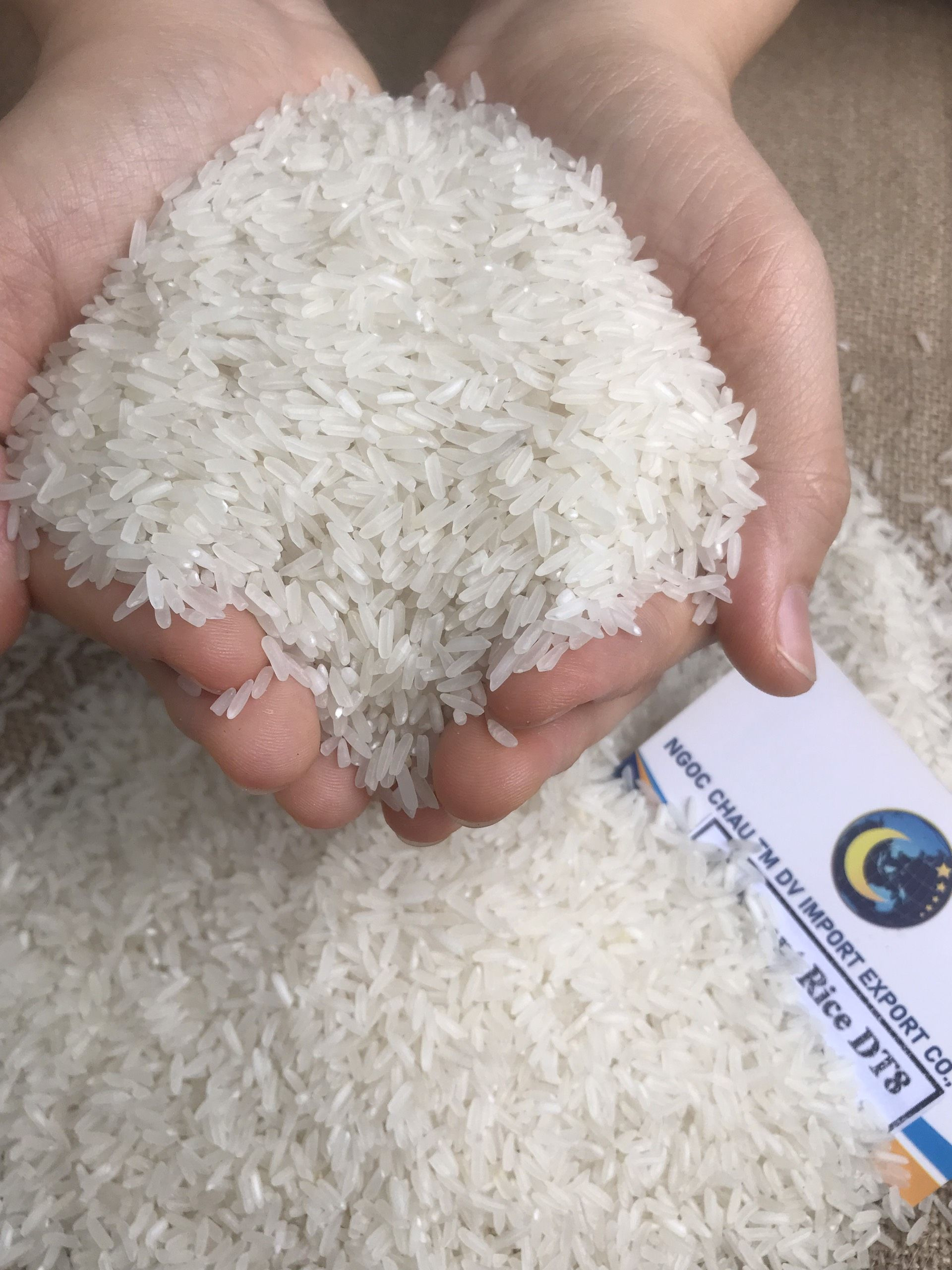 Buy Dt8 Rice Fragrant Long Grain White Rice 5% 25% Broken Vietnam Rice ...
