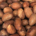Bitter Kola
