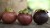 Import High Quality Indonesian Mangosteen from Indonesia