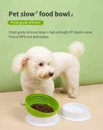 Pet Slower Food Bowl.
