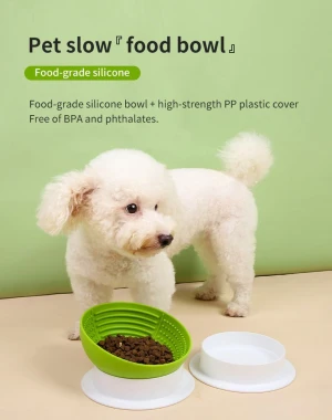 Pet Slower Food Bowl.