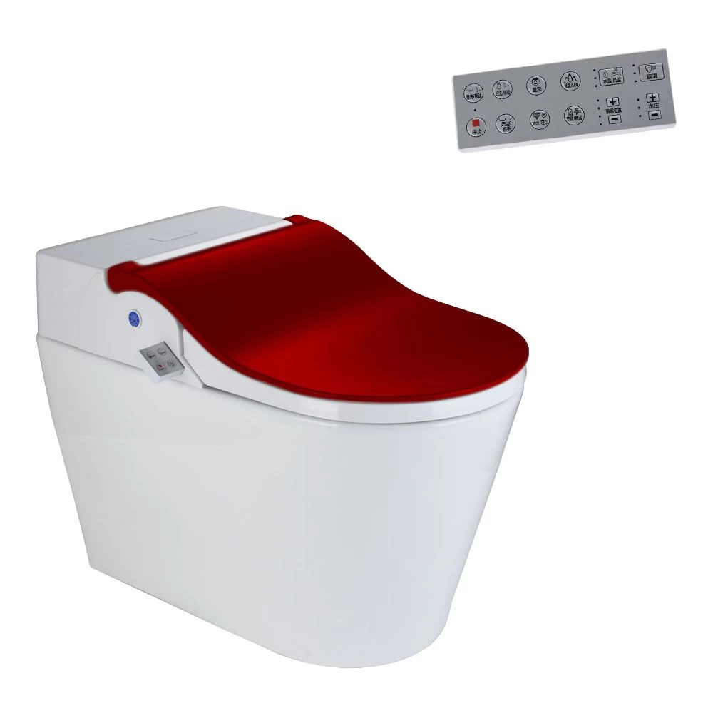 Buy Smart Bidet Toilet With Integrated Dual Flush With Remote Control Elongated One Piece Smart