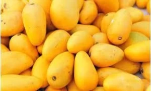 Fresh, Juicy & Succulent Sindhri Mangoes