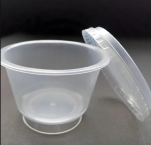 Disposable plastic bowl