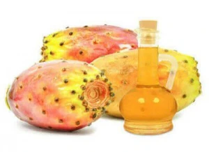 Moroccan Organic Prickly Pear seed oil wholesale in bulk