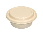 Disposable bagasse lunch box