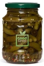 Gherkins / Cucumbers