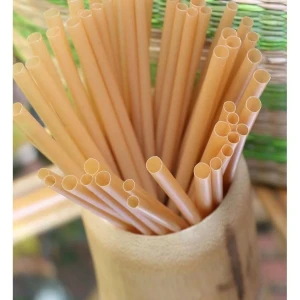 Sugarcane Bagasse Straws