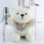 Import Floral scarf Lili Bear from China