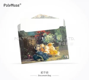 [PolyMuse] Document Bag-PP glossy or matte-PP 0.18-0.4mm thickness-Made In Taiwan