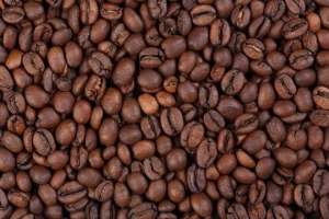 Kenya AA FAQ Washed Process Green Coffee Bean Wholesale