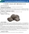 Import ferro silicon briquette from China