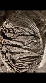 Salted Beef Omasum