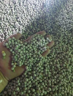 food peas