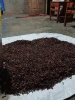 Premium Lal Pari Red Cloves Whole Spice for Culinary Use