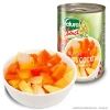 Canned Tropical Fruits Cocktail in Light Syrup 20 oz. (565 g.)