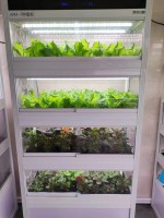 AM4 Planter