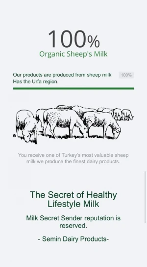 Sheep Ghee in affordable prices