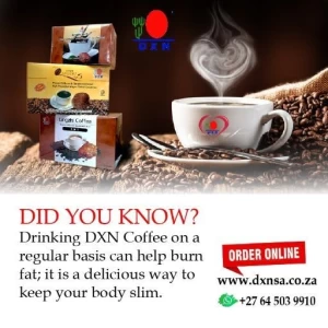 LINGZHI COFFEE 3 IN 1