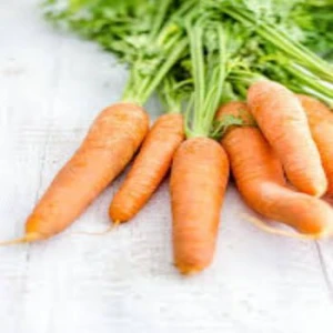 Fresh Carrots High Standard