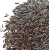 Import Premium Quality Black Rice//Sticky Rice// Glutinous Rice Bulk for Wholesales from South Africa