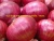 Import Wholesalers of Fresh Onions from India