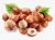 Import Hazelnuts from South Africa