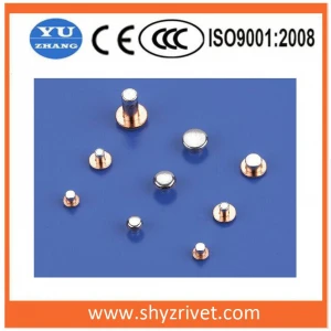 Electrical Contact Rivet for Micro Motor