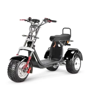hot sale EEC 60V 2000W Motor Off-Road E Scooter Adults Electric Bike Citycoco 3 Wheel Fat Tire Scooter Motorcycles