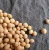 Import Organic Non-GMO Yellow Soybean Premium Quality Fresh Soya Beans Export Grade for Soybean Importers from Malaysia