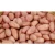 Import Natural Raw Peanut from India