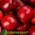 Import Red apple from Uzbekistan
