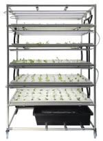 hydroponic grow system(NFT)