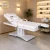 3 Motors Electric Facial Beauty Bed Hand Remote Control Height & Back Adjustable Detachable Face Hole Pillow Waterproof