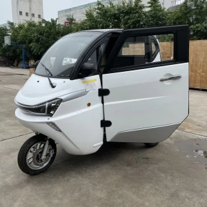 EEC L2e low speed electric tricycle J1