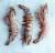 Import High Quality King Prawn from South Africa