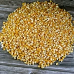 Yellow corn