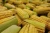 Import Sweet Yellow Corn from Tanzania