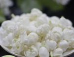 jasmine, osmanthus, cinnamon, and black pepper products