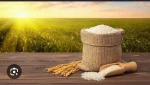 Premium Industrial Salt and Himalayan Pink Salt