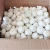 Import High Quality Fresh White Garlic from Thailand