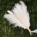 Trending Product 2022 Decorative Flowers and Plants Wreath Large White Fluffy Pampas Grass
