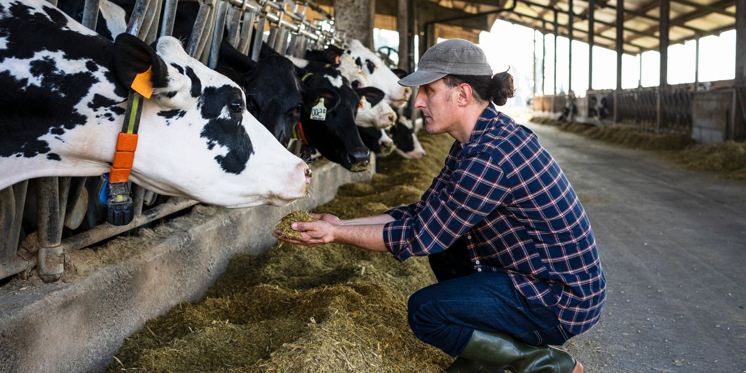 Buy Animal Care from Biopro Solutions, USA | Tradewheel.com