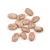 Import Premium Quality Pinto Beans – Nutritious, Clean & Export Grade from Kenya