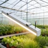 High Output L1  Linear LED Grow Lights for Optimal Plant Growth