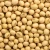 Import Organic Non-GMO Yellow Soybean Premium Quality Fresh Soya Beans Export Grade for Soybean Importers from Malaysia