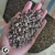 Import Sumatra Gayo Coffee Beans - ARABICA COFFEE from Indonesia