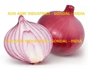 Wholesalers of Fresh Onions