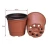 Import 100 PCS Plastic Plant/Flower Pots 10 CM Seed Tray Perfect for Gardener (Middle Size) from China