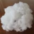Import 100% Polyfil 7D Hollow Conjugated Polyester Staple Silicon Fiber for Pillows from China
